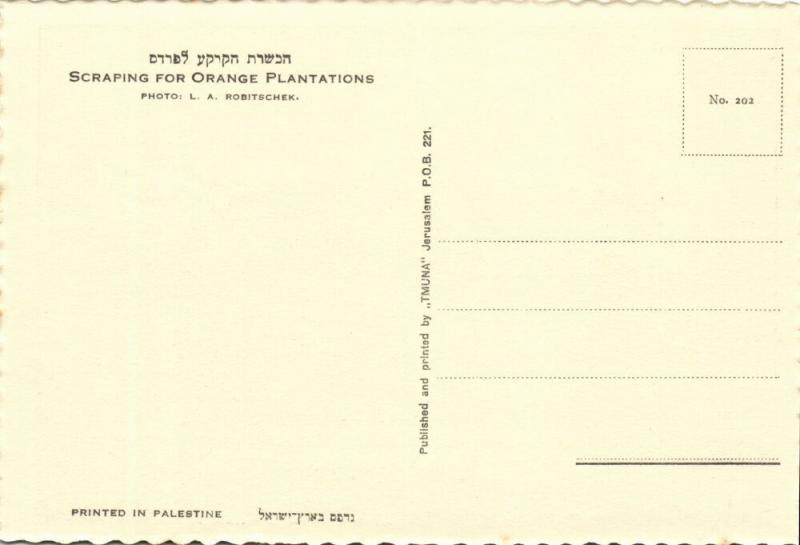 israel palestine, Scraping for Orange Plantations (1930s) Tmunia Postcard 202