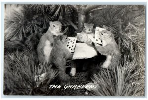 c1940's The Gamblers Mouse Playing Cards RPPC Photo Unposted Vintage Postcard