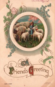 Vintage Postcard A Friends Greetings Card Little Child Feeding Sheep on a Farm