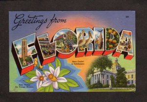 FL Greetings From Florida Large Letter Postcard