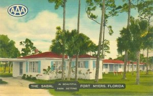 Fort Myers Florida Sabal Tamiami Trail 19453 Linen Postcard