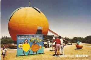 Greetings from Berri, South Australia ~ \Big Orange\ / 