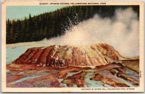 Wyoming, 1946 Sponge Geyser Erupts, Yellowstone National Park, Vintage Postcard