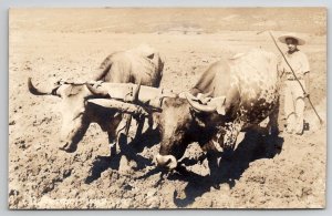 Mexico RPPC Louaya Farming Yoked Oxen Plowing Farmer Real Photo Postcard A46