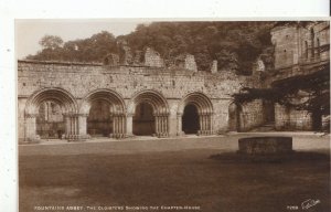 Yorkshire Postcard - Fountains Abbey - The Cloisters - Real Photograph   ZZ2709