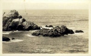 Real Photo, Seal Rocks - San Francisco, California CA  