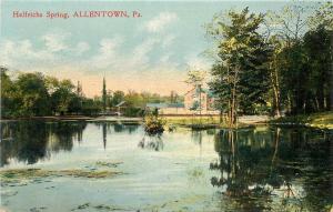 c1910 Postcard; Helfrichs Spring, Allentown PA Lehigh County Unposted