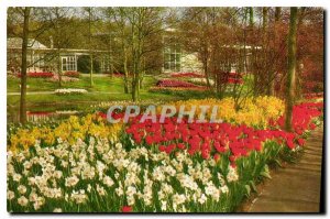 Modern Postcard Keukenhof Lisse Holland