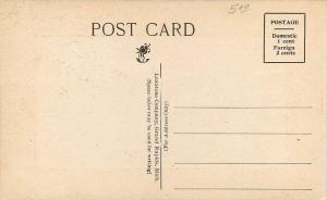 Muskegon MI~Occidental Hotel (Imploded 1975) Horse & Buggy~Frame Border~1910