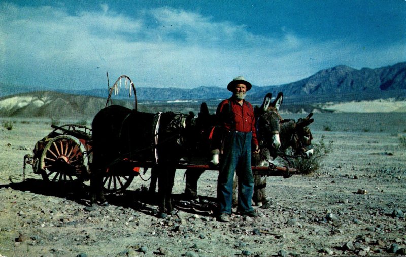 California Death Valley Prospector & Burro Wanderers Of The Waste Lands