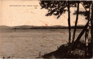 View of Mattanawcook Lake, Lincoln Maine Vintage Postcard Q28