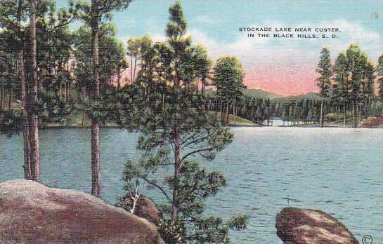 South Dakota Black Hills Stockade Lake Near Custer In The Black Hills