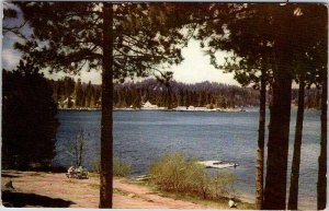 Postcard PIER SCENE San Bernardino California CA AK8656