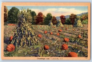 1959 Plymouth Indiana IN Vintage Postcard Greetings Squash Farm Field Posted