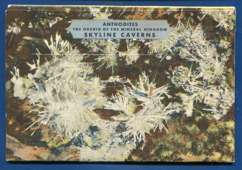 Skyline Caverns Drive Front Royal Virginia va postcard folder