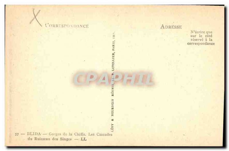 Old Postcard Blida Gorges Chiffa Cascades Creek Monkey