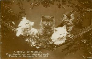 c1910 EAS RPPC Cat Postcard 2720/1 Bundle of Mischief, Kittens in Tiny Hammock