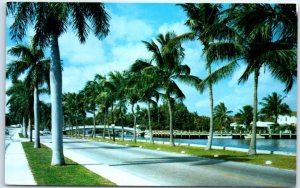 M-95714 Las Olas Boulevard in Fort Lauderdale Florida USA