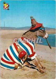 Modern Postcard Donkey Mule SPANISH E