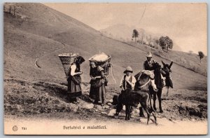 Vtg Italy Portatrici e Mulattieri Porters & Muleteers 1910s View Old Postcard