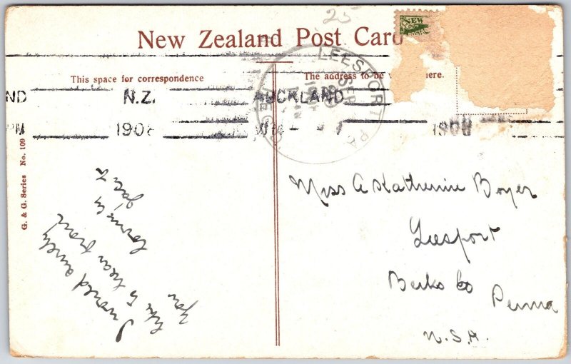 1910's Government House Wellington New Zealand Grounds Posted  Postcard