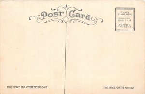 G27/ Greenville Michigan Postcard c1910 Hotel Phelps Building