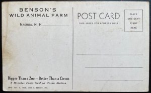 Vintage Postcard 1939 Benson's Wild Animal Park, Nashua, New Hampshire