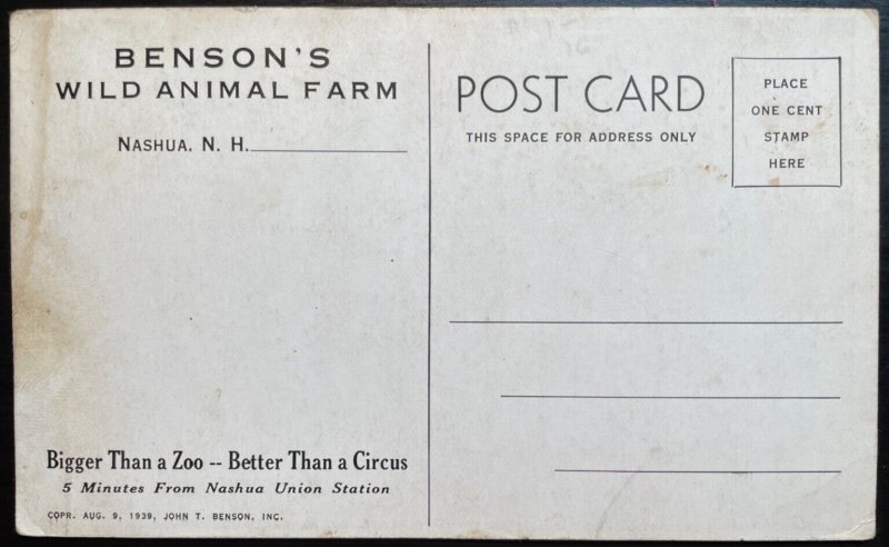 Vintage Postcard 1939 Benson's Wild Animal Park, Nashua, New Hampshire