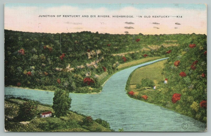 Kentucky~Junction Of Dix Rivers~Highbridge~River~Vintage Postcard