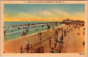 Postcard BEACH SCENE Wildwood New Jersey NJ AL1205