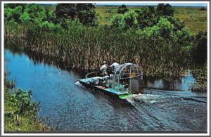 Florida Airboat Everglades - [FL-143]
