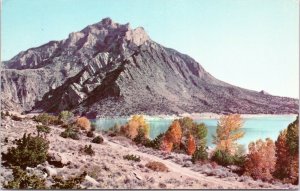 postcard WY - Cedar Mountain and Buffalo Bill Reservoir, Near Cody