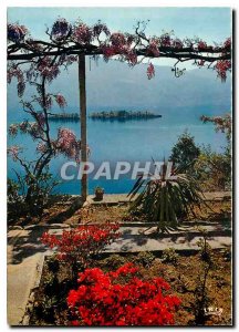 Postcard Modern Porto Ronco Vista Lago Maggiore Brissago