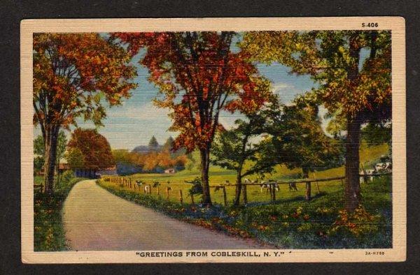 NY Greetings from COBLESKILL NEW YORK Postcard PC Cows