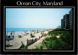 CONTINENTAL SIZE POSTCARD THE BEACH AT 133rd STREET OCEAN CITY MARYLAND