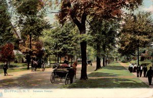 Buffalo, New York - Taking a drive in horse and buggy on Delaware St. - Tuck