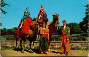 Camel Ride in Vilas Park, Camel Patrol Zor Shrine Madison WI c1961 Postcard T79