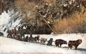 YUKON DOG TEAM FREIGHTING THROUGH ALASKA CANYON POSTCARD (c. 1910)