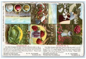 Rockford Seed Farms Forest City Greenhouses Rockford IL Advertising Postcard