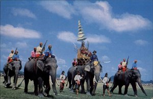 Surin Thailand Battle Elephants c1950-60s Vintage Postcard