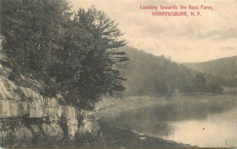 Artino C-1910 Narrowsburg New York Ross Farm Waterfront postcard 10403