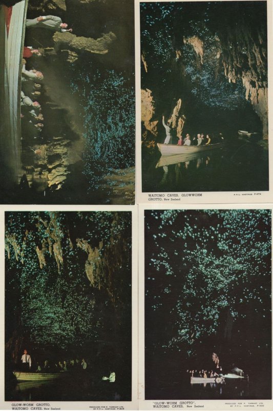 Glow Worm Grotto New Zealand 4x Official Postcard s