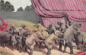 Dancing Elephants Barnum And Bailey Greatest Show On Earth Elephant Unused 