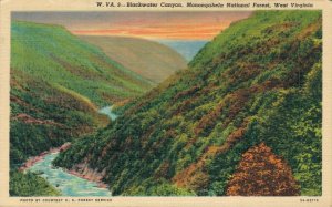 USA Blackwater Canyon Monongahela National Forest West Virginia Linen 07.98