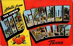 The Lower Rio Grande Valley Texas LARGE Ltr Vintage Postcard Standard View Card