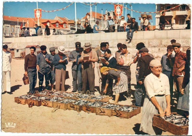 Portugal, CASCAIS, Lota do peixe, 1969 used Postcard