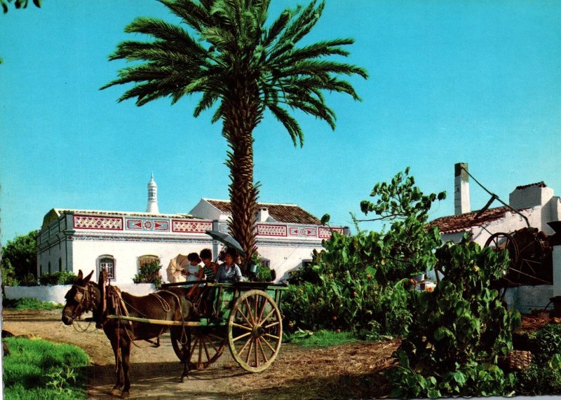CONTINENTAL SIZE POSTCARD TYPICAL HOUSE AND LOCALE OF THE ALGARVE PORTUGAL 1970s