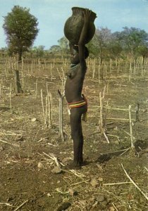 cameroon, GUIDER, Topless Native Woman with Water, Head Transport 1970s Postcard