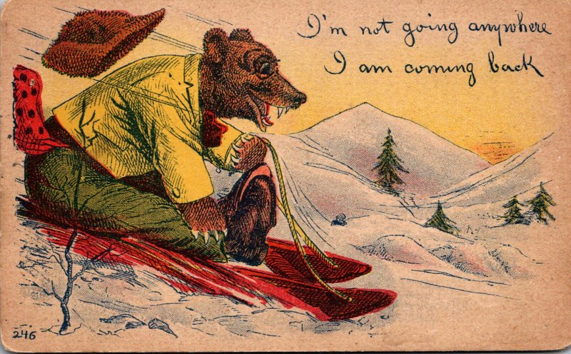 Bear On Sleigh I'm Not Going Anywhere I Am Coming Back