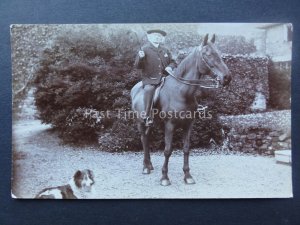 HORSE & GENTLEMAN with Colley Dog early 1900's RP Postcard